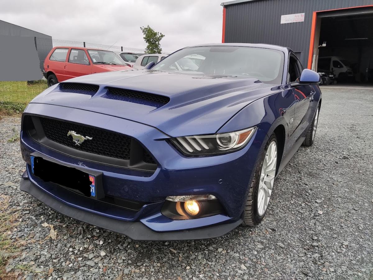 Auto Van Electro E85 utilitaire camion agricole