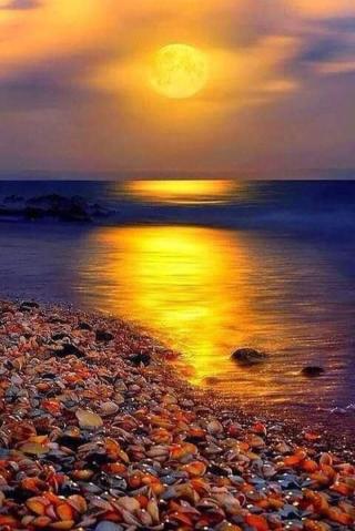 Serrurier michel-ange-serrurerie 2